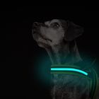 USB Rechargeable Flashing LED Dog Harness No Choke With Lightweight Mesh Lining
